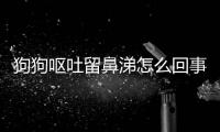 狗狗嘔吐留鼻涕怎么回事？狗狗嘔吐留鼻涕吃什么藥
