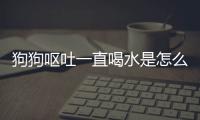狗狗嘔吐一直喝水是怎么回事？狗狗嘔吐 一直喝水是怎么回事吃什么藥