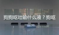 狗狗嘔吐輸什么液？狗嘔吐吃什么藥好打什么針