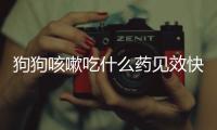 狗狗咳嗽吃什么藥見效快？ 小狗咳嗽吃什么藥好使