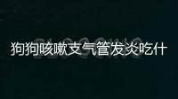 狗狗咳嗽支氣管發炎吃什么藥(狗狗氣管發炎咳嗽吃什么藥)