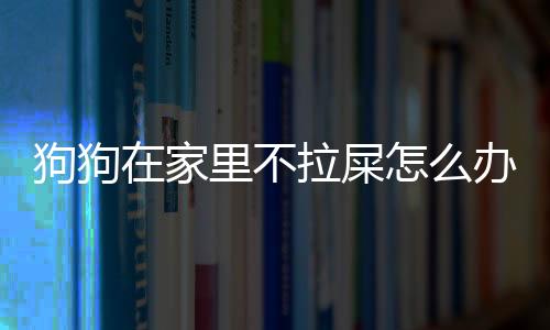 狗狗在家里不拉屎怎么辦(狗狗最近不拉屎怎么辦)