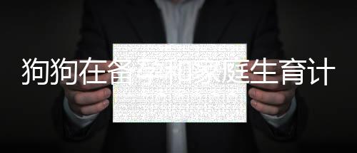 狗狗在備孕和家庭生育計劃中的重要角色