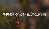 狗狗喜歡咬抹布怎么回事？狗狗喜歡咬抹布是為什么