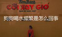 狗狗喝水頻繁是怎么回事(狗狗喝水后咳嗽是怎么回事)
