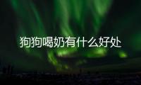 狗狗喝奶有什么好處