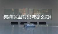 狗狗嘴里有臭味怎么辦(狗狗嘴里有臭味是怎么回事)