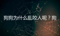 狗狗為什么亂咬人呢？狗狗為什么會亂咬人