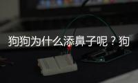狗狗為什么添鼻子呢？狗狗為什么添鼻子和嘴巴