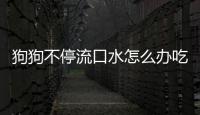 狗狗不停流口水怎么辦吃什么藥？狗狗不停流口水怎么辦呀