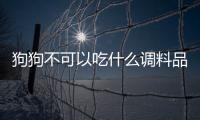 狗狗不可以吃什么調料品(狗狗不可以吃什么食物清單)