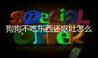 狗狗不吃東西還嘔吐怎么辦沒精神，狗狗不吃東西還嘔吐怎么辦