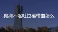 狗狗不嘔吐拉稀帶血怎么回事？狗狗不吐但是拉血