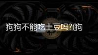 狗狗不能吃土豆嗎?(狗狗不能吃土豆嗎為什么)