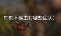狗狗不驅(qū)蟲有哪些癥狀(狗狗沒驅(qū)蟲會(huì)有什么后果)