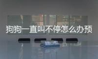 狗狗一直叫不停怎么辦預兆(防狗叫擾民神器)