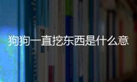 狗狗一直挖東西是什么意思啊？狗狗一直挖東西是什么意思呀