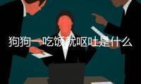 狗狗一吃飯就嘔吐是什么原因引起的？狗狗一吃飯就吐怎么回事