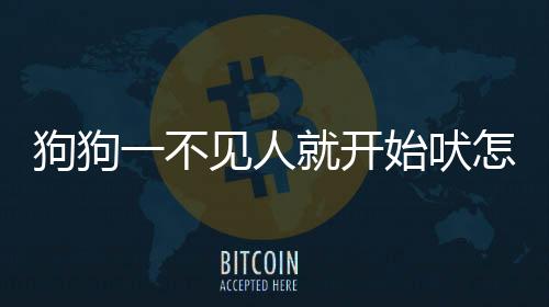 狗狗一不見人就開始吠怎么辦呢？狗狗一不見人就開始吠怎么辦呀