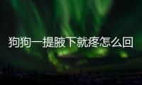 狗狗一提腋下就疼怎么回事(狗狗一提腋下就疼正常嗎)