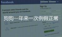 狗狗一年來一次例假正常嗎(狗狗一年來多次月經)