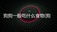 狗狗一般吃什么食物(狗狗不能吃什么水果)