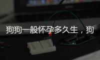 狗狗一般懷孕多久生，狗狗懷孕后多長時間能生