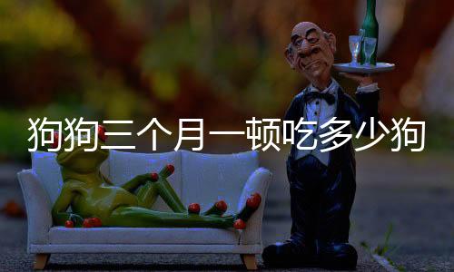狗狗三個月一頓吃多少狗糧