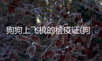 狗狗上飛機的檢疫證(狗狗的檢疫證明去哪開)