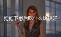 狗狗下崽后吃什么比較好(狗狗下完狗后怎么還出血)