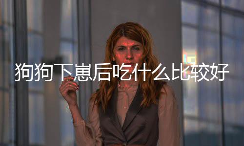 狗狗下崽后吃什么比較好(狗狗下完狗后怎么還出血)