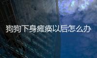 狗狗下身癱瘓以后怎么辦