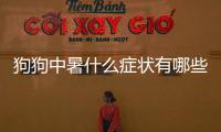 狗狗中暑什么癥狀有哪些(狗狗中暑的癥狀)