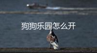 狗狗樂園怎么開
