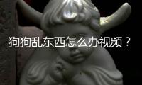 狗狗亂東西怎么辦視頻？狗狗亂走怎么回事