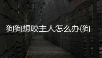狗狗想咬主人怎么辦(狗狗想咬我怎么辦)