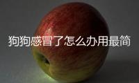 狗狗感冒了怎么辦用最簡單的方法，小狗感冒了怎么辦
