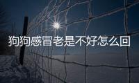 狗狗感冒老是不好怎么回事(狗狗感冒一直不好)