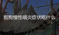 狗狗慢性咽炎癥狀吃什么藥效果好？狗狗慢性咽炎怎么辦