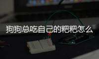 狗狗總吃自己的粑粑怎么回事(狗狗總是吃草是什么原因?該怎么辦?)