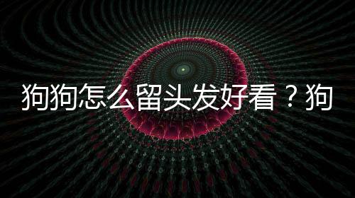 狗狗怎么留頭發好看？狗狗怎么留頭發最好