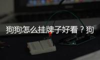 狗狗怎么掛牌子好看？狗狗怎么掛牌子好一點