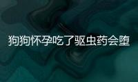 狗狗懷孕吃了驅蟲藥會墮胎嗎(狗狗懷孕了可以吃驅蟲藥嗎)