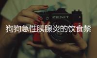 狗狗急性胰腺炎的飲食禁忌有哪些？狗狗急性胰腺炎恢復期食譜大全