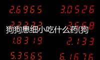 狗狗患細(xì)小吃什么藥(狗狗小吃什么食物好)