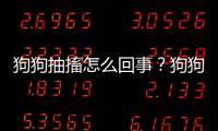 狗狗抽搐怎么回事？狗狗一抽一抽的為什么