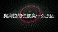 狗狗拉的便便臭什么原因引起的？狗狗拉的便便臭什么原因造成的