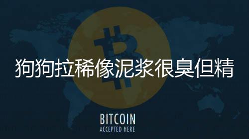 狗狗拉稀像泥漿很臭但精神很好  狗狗拉稀怎么辦最有效的方法