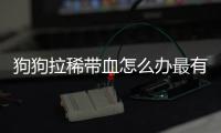 狗狗拉稀帶血怎么辦最有效的方法(狗狗拉稀用什么藥最快)