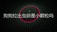 狗狗拉出蟲卵是小顆粒嗎(狗狗拉出蟲卵要繼續(xù)驅(qū)蟲嗎)
